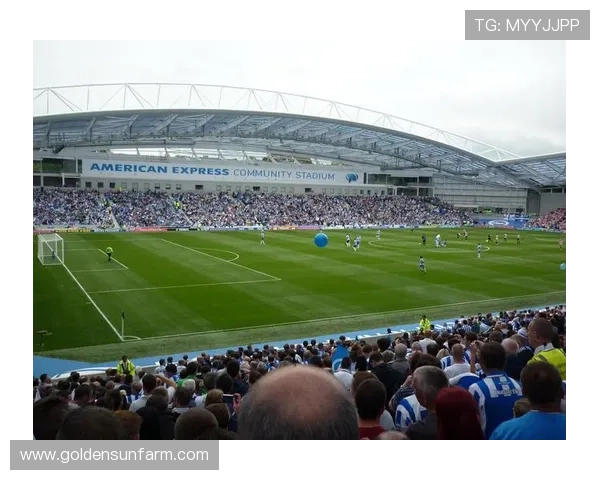 以斯特拉斯堡俱乐部为核心解析法国足球发展与地方文化融合的独特路径