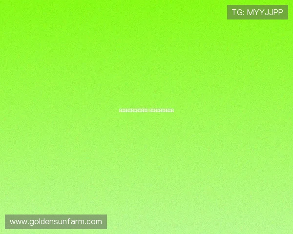 掘金队新赛季备战进展迅速 球员状态回暖实力提升