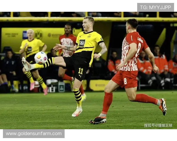 以弗赖堡足球俱乐部为例探讨德国足球青训体系的创新与发展