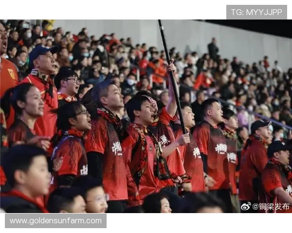 国家队新赛季全面发力年轻球员闪耀赛场引爆球迷期待冲击重要荣誉