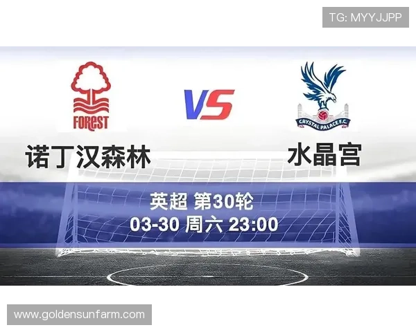 水晶宫俱乐部新赛季战略调整引关注球队重建全面提速冲击英超中游