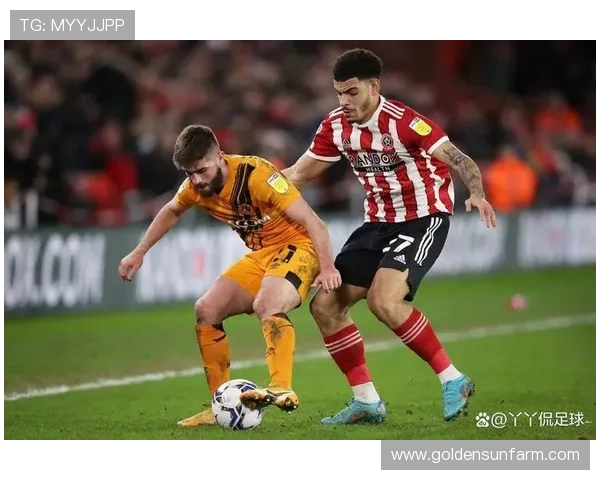 百年赫尔城俱乐部的英伦坚守与新时代足球梦想崛起征程全景