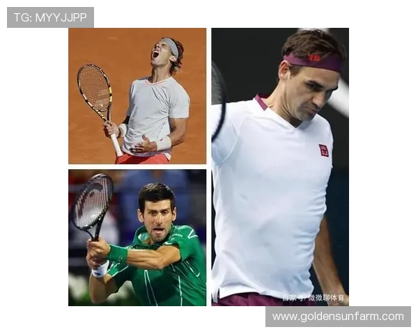 费德勒告别赛季完美落幕 网坛传奇的辉煌与挑战