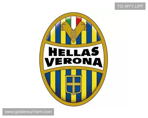 赫尔城俱乐部历史辉煌与发展轨迹分析及未来展望